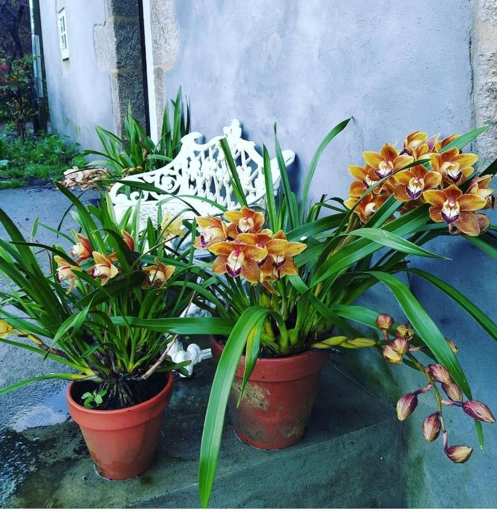 Apartament A Casa Da Parrula Santiago de Compostela Zewnętrze zdjęcie