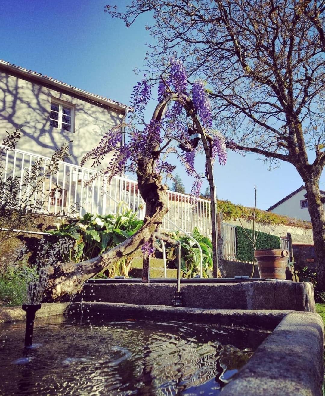 Apartament A Casa Da Parrula Santiago de Compostela Zewnętrze zdjęcie